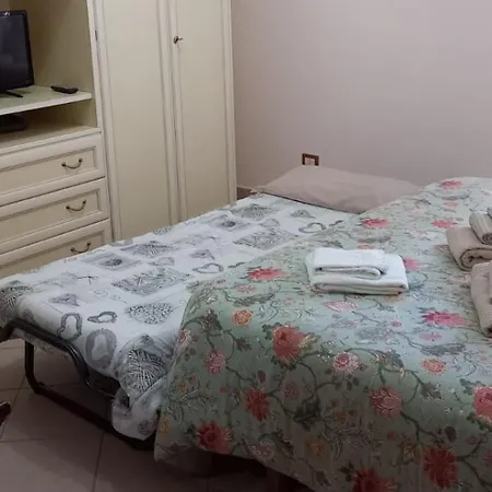 Ary's House